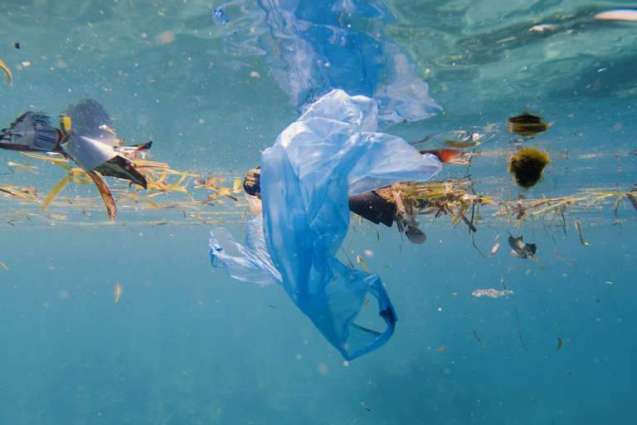COVID-19 Pandemic Reversed Progress Towards Plastic Phase Out - Parley for the Oceans
