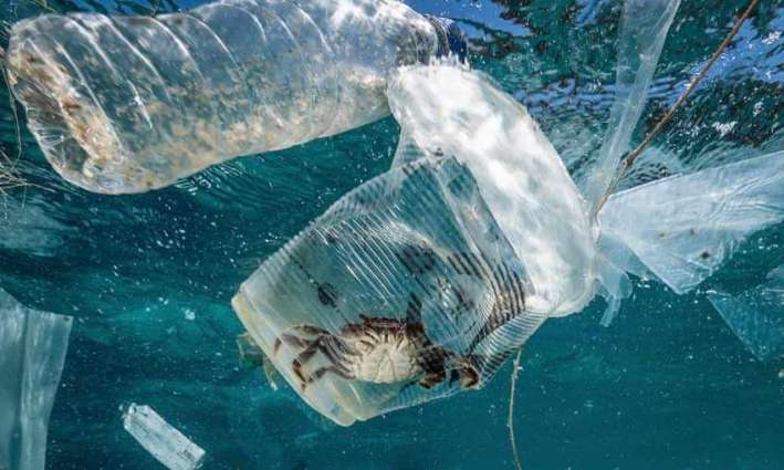 Parley for the Oceans Slams Fashion Brands Over Reluctance to Phase Out Virgin Plastic