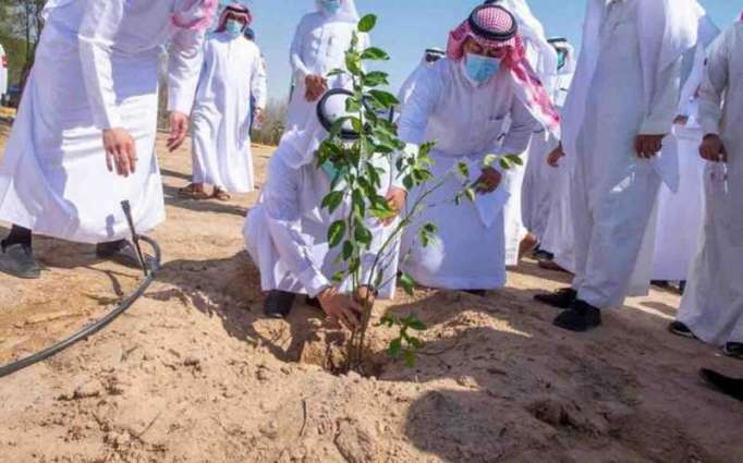 رئيس جامعة الملك فيصل يفتتح مشروع غرس (45) ألف شتلة وشجرة في واحة الأحساء