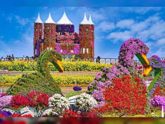 Dubai Miracle Garden set to welcome visitors on 1st November