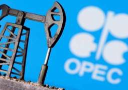 OPEC Oil Export Revenue Forecast Predicts 18-Year Low Due to COVID-19 - Energy Dept.