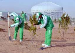 25 Million Tree Saplings Will Be Planted In Turkmenistan In 2020 In Honor Of The 25Th Anniversary Of The Country's Neutrality