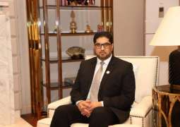 Normalization of Ties With Doha Hangs on Meeting Gulf Countries' Demands - UAE Ambassador
