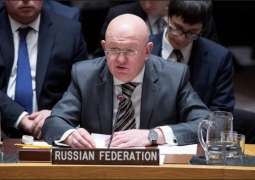 OPCW Chief Arias Expected to Address UNSC in December on Syria - Russia's Envoy to UN