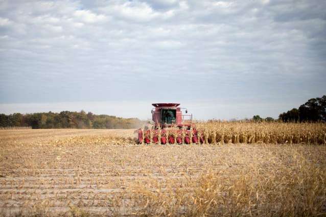 US Farmers Sustain Losses, But Anticipate Victory in Trump's Trade War