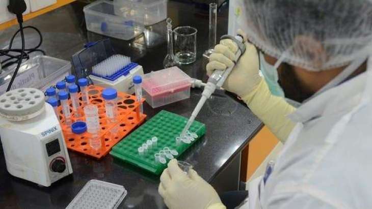 Indian Company Bharat Biotech to Launch COVID-19 Vaccine in February - Reports