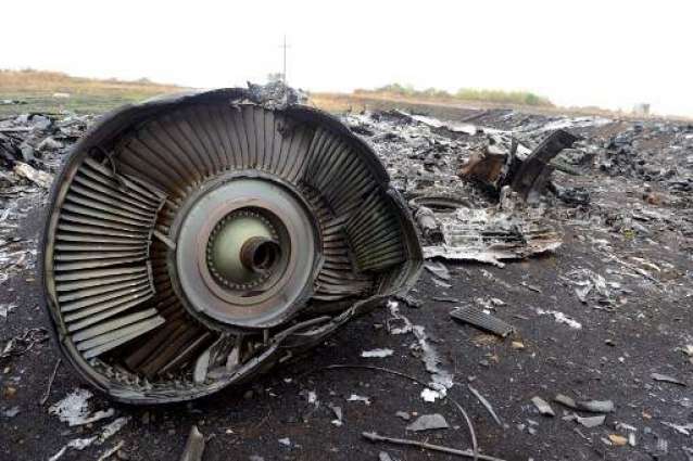 Strasbourg Court to Rule on Russia Complaint After MH17 Criminal Trial Ends - Prosecutor
