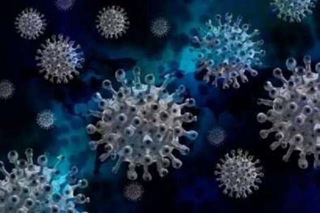 Georgian Government Introduces New Coronavirus Restrictions Starting November 28