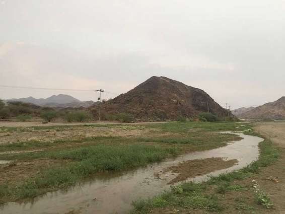 أمطار غزيرة على محافظة الليث
