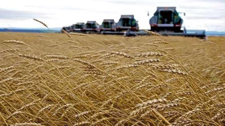 Wheat Harvest Yields in Russia Might Reduce to 78Mln Tonnes in 2021- Agriculture Institute
