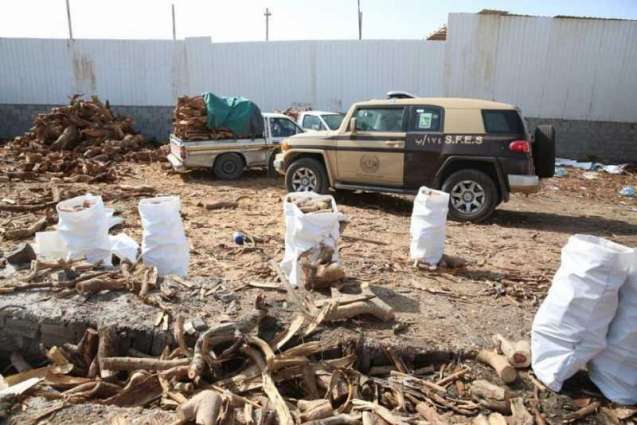 القوات الخاصة للأمن البيئي تضبط 93 طناً من الحطب المحلي المعد للبيع في مدينة الرياض