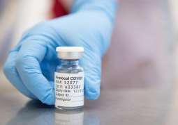 Pfizer, BioNTech Submit Application to Register COVID-19 Vaccine in EU