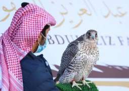 مهرجان الملك عبدالعزيز للصقور يسدل الستار على أشواط ملواح الدوليين