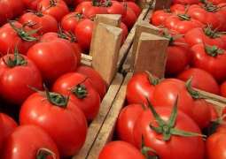 Russian Watchdog Bans Import of Armenian Tomatoes, Peppers Over Pepino Mosaic Virus