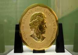 Berlin Police Conduct Raids Over Museum Heist of 100-Kg Gold Coin - Reports