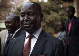 Unrest in Central African Republic Hampers Presidential Campaign - Candidate
