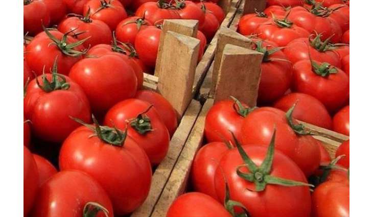 Russian Watchdog Bans Import of Armenian Tomatoes, Peppers Over Pepino Mosaic Virus