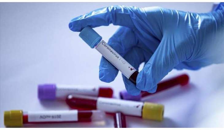 Russia's Siberia, Ural Have Over 50% Positive COVID-19 Antibody Tests Every Day - Company