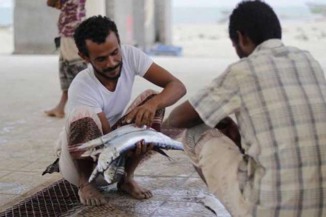 منظمة (الفاو) تقدم الدعم لأكثر من 8,000 أسرة يمنية من مجتمعات الصيد بالتعاون مع مركز الملك سلمان للإغاثة