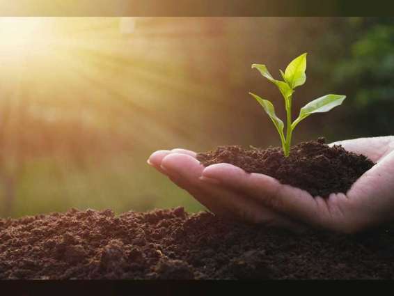 Soil organisms play a crucial role in boosting food production:FAO