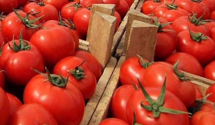 Russian Watchdog Bans Import of Armenian Tomatoes, Peppers Over Pepino Mosaic Virus