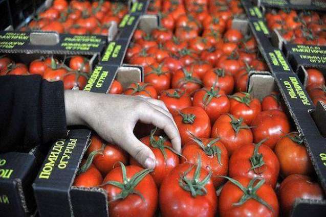 Russian Food Watchdog Mulls Ban on Imports of Tomatoes From Turkey's Hatay, Trabzon
