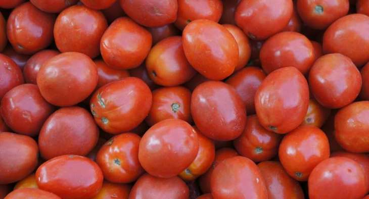Russian Agriculture Watchdog Allows Tomatoes Supplies From 12 Azeri Companies From Dec 24