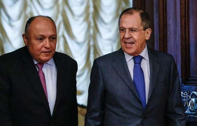 Russian, Egyptian Foreign Ministers Discuss Construction of El Dabaa NPP - Moscow