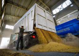 Russia to Impose 30% Tariff on Soybean Export From February 1 to June 30