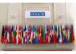 OSCE Urges All Parties to US Unrest to Exercise Restraint, Respect Democratic Processes