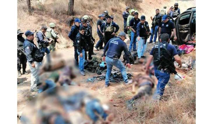 Ten Dead as Drug Cartel Clashes With Police in Central Mexico - Reports