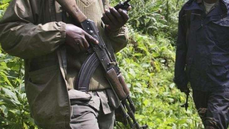 Gunmen Kill 6 National Park Rangers in DR Congo