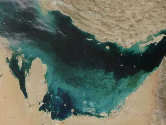 NYU Abu Dhabi scientists uncover genomic differences of marine and freshwater microalgae