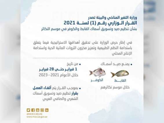 UAE bans fishing and trade of certain species of fish during breeding season