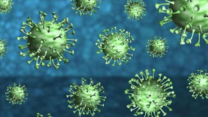 German Health Ministry to Create Mechanism to Trace Coronavirus Mutations - Spahn