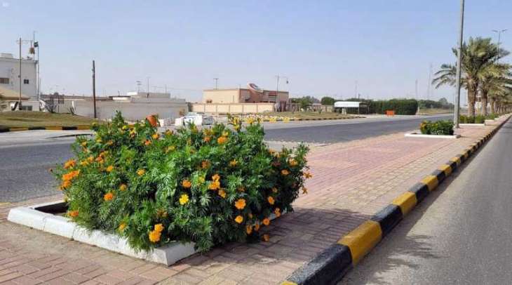 أمانة الشرقية تنفذ أعمال زراعة 1500 زهرة وتركيب 15 مظلة بحدائق الصرار