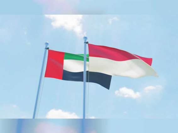 UAE provides urgent humanitarian aid to people affected by earthquake in Indonesia