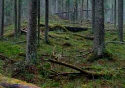 Finland's Ministry of Environment, Climate to Control Moss Collection