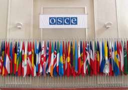 Russian Diplomat Stresses That Sweden as OSCE Chair Must Respect Russia's Sovereignty