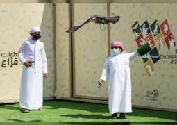 Young Emiratis keep sport of falconry fly higher at Fakhr Al Ajyal Championship