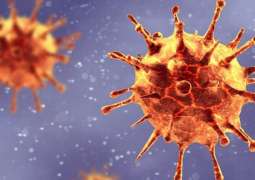Russia's Gamaleya Center Says Still Lacks Samples of S. African Coronavirus Variant