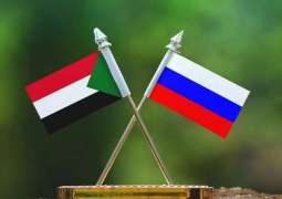 Russia Ready to Send Weapons to Sudan If Khartoum Vows Not to Use Them in Darfur - Agency