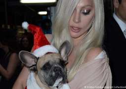 Lady Gaga’s stolen unharmed dogs return to police
