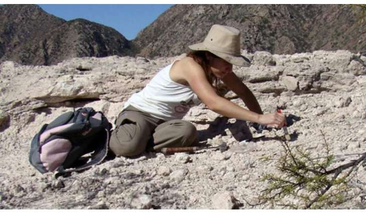 Argentine Paleontologists Discover New Species of Reptile Living 230Mln Years Ago- Reports