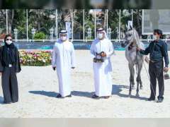 الفرس "ع ج براكة " تسجل أعلى معدل نقاط في اليوم الأول من "بطولة أبوظبي الدولية لجمال الخيل العربية"