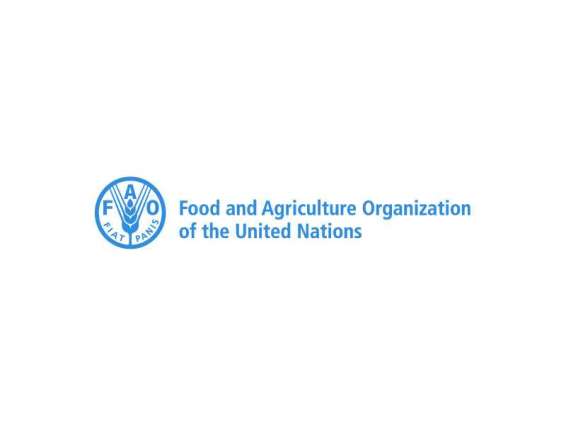 FAO report highlights ambitious desert fish farming projects launched by UAE