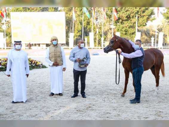 ثنائية لمربط دبي .. والفرس "بروساريا" الأجمل في اليوم الثاني من بطولة أبوظبي الدولية لجمال الخيول العربية