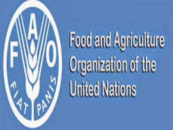 FAO presents Forest and Wildlife Action Plan for Sindh to fight climate change, food insecurity and malnutrition