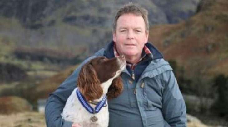 UK Springer Spaniel Max Becomes 1st Ever Pet to Receive 'OBE for Animals' - Charity