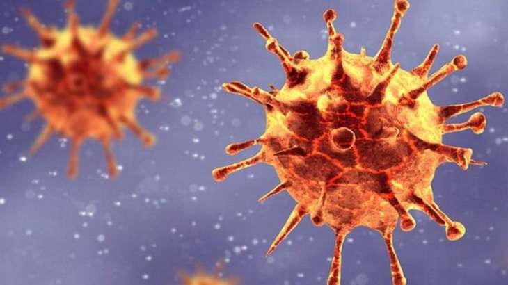 Russia's Gamaleya Center Says Still Lacks Samples of S. African Coronavirus Variant